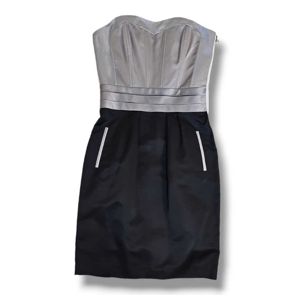 Rachel Roy New York Gray & Black 100% Silk Corset Dress - Size 6